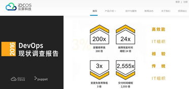 盘点运维领域的互联网初创企业与信息技术咨询服务新势力