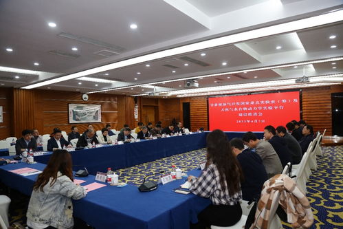 深耕“两深一非”新领域 以信息技术咨询服务强化国家能源安全的重科力量